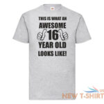16th 16 years old sixteenth birthday gifts presents mens funny awesome t shirt 0.jpg
