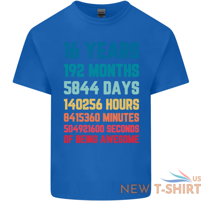 16th birthday 16 year old mens cotton t shirt tee top 2.png
