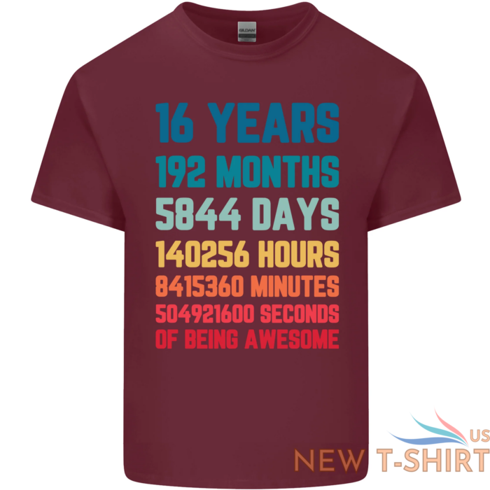 16th birthday 16 year old mens cotton t shirt tee top 6.png