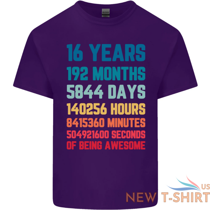 16th birthday 16 year old mens cotton t shirt tee top 9.png
