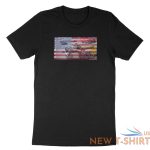 formula 1 f1 racing us flag adults mans womens kids boy girl t shirt 2.jpg