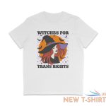 lgbtq pride halloween t shirt witches for trans rights 8.jpg