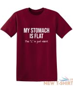 my stomach is flat the l is just sarcastic humor graphic novelty funny t shirt 9.jpg