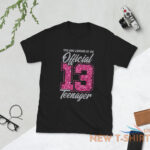 official teenager 13th birthday 13 years old gift t shirt 0.jpg