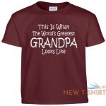 worlds greatest grandpa t shirt fathers day gift papa tee t shirt 8.jpg