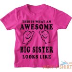 awesome big sister kids t shirt 1 13 yrs girls funny christmas birthday gift 0.jpg