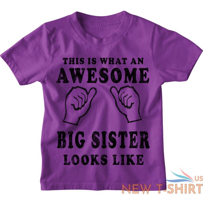 awesome big sister kids t shirt 1 13 yrs girls funny christmas birthday gift 1.jpg