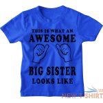 awesome big sister kids t shirt 1 13 yrs girls funny christmas birthday gift 5.jpg