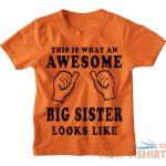 awesome big sister kids t shirt 1 13 yrs girls funny christmas birthday gift 6.jpg