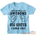 awesome big sister kids t shirt 1 13 yrs girls funny christmas birthday gift 9.jpg