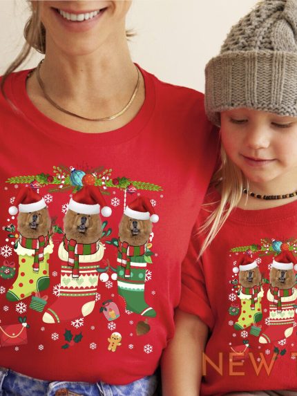 xmas tshirt chow chow dog xmas shirt christmas t shirt xmas t shirt stocking 0.jpg